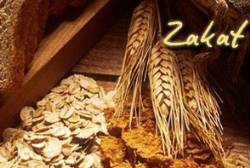 Zakah: Purity and Growth - II