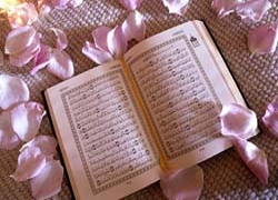 Supplications from the Quran and Sunnah