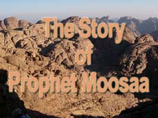 The Story of Prophet Moosaa –I