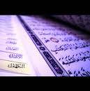 المتشابه اللفظي في القرآن الكريم