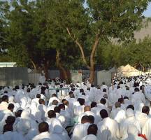 The Art of Hajj - II