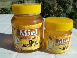 Le miel : mdicament pour le ventre 