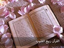 لفظ (الكلمة) في القرآن