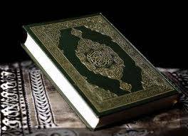 ما جرى مجرى العاقل في القرآن
