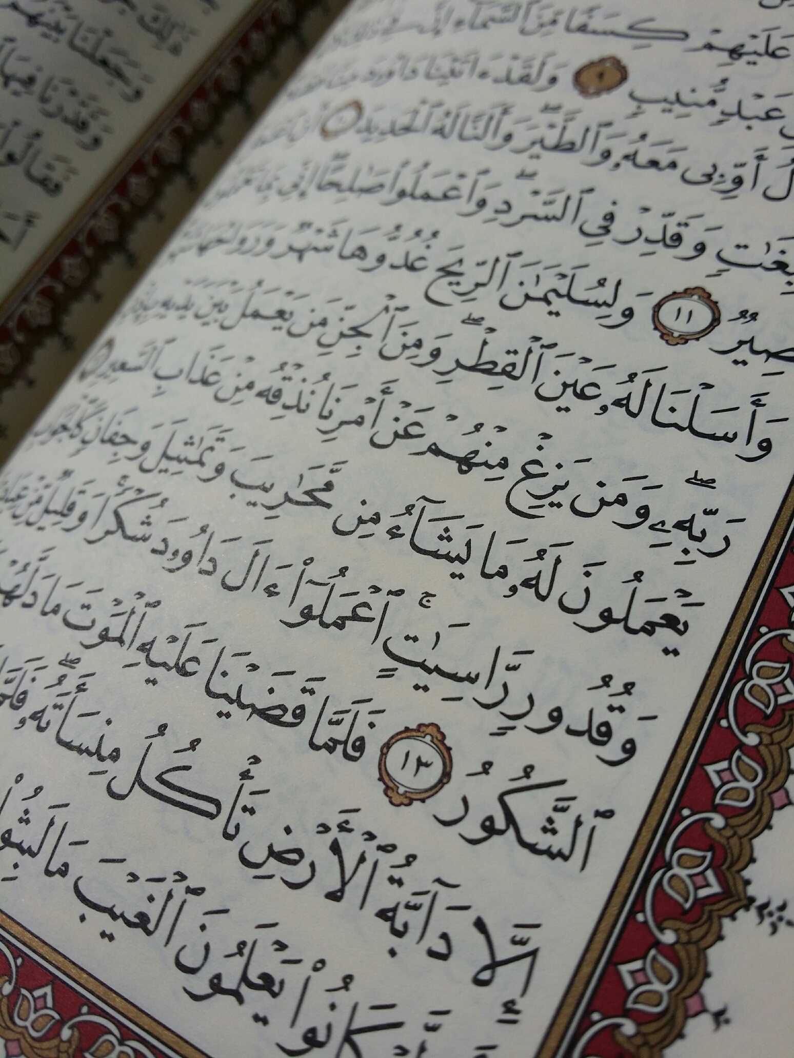 Parmi les mérites de la glorification d’Allah mentionnés dans le Coran   
