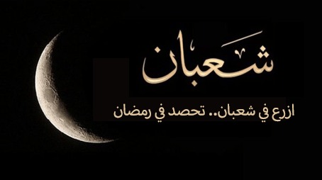 ازرع في شعبان.. تحصد في رمضان