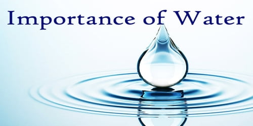 The Importance of Water to Human Beings