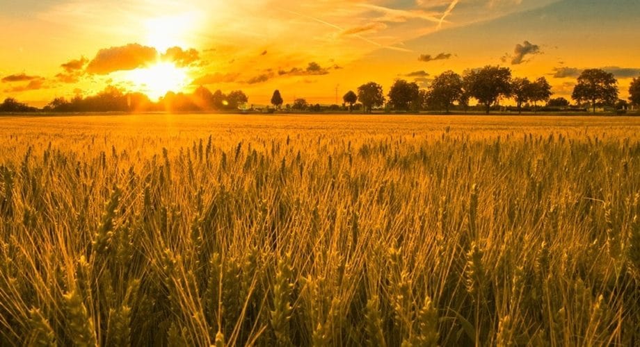 La Rupture des engagements