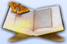 الخطاب القرآني أصلح دليل للأسرة السعيدة