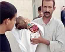 More Iraqis Killed in Falluja