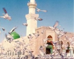 Greatest Glad Tidings for Pilgrims - I 