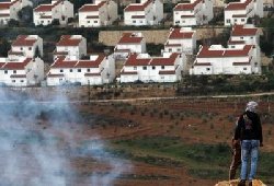 Israeli companies violate West Bank construction freeze 