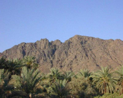 Important Events Between the Battles of Badr and Uhud - I