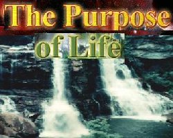 What is the purpose of life