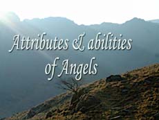 Attributes and abilities of Angels 