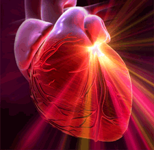 The crucial role of the heart 