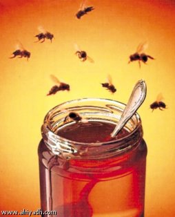 Le miracle du miel