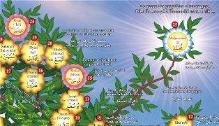 www.islamweb.net