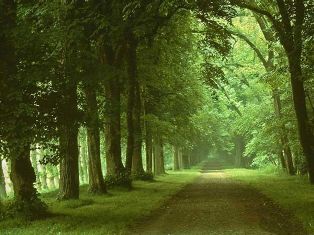 Sur le chemin de Ramadan