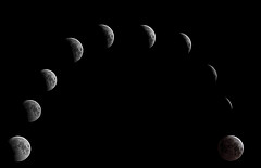 Die Phasen des Mondmonats
