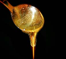 El milagro de la miel como medicina alternativa