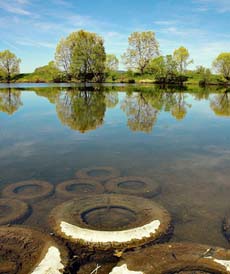 El abuso del medio ambiente: una perspectiva Islلmica