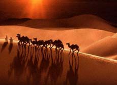 Milagros en el camino de la Hgira.